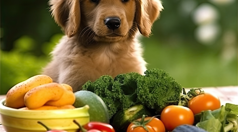 Saiba como preparar comida saudável para pets | Portal Guaipeka
