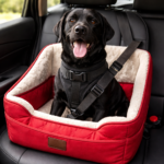 cão labrador preto viajando seguro numa cadeirinha e cinto de segurança